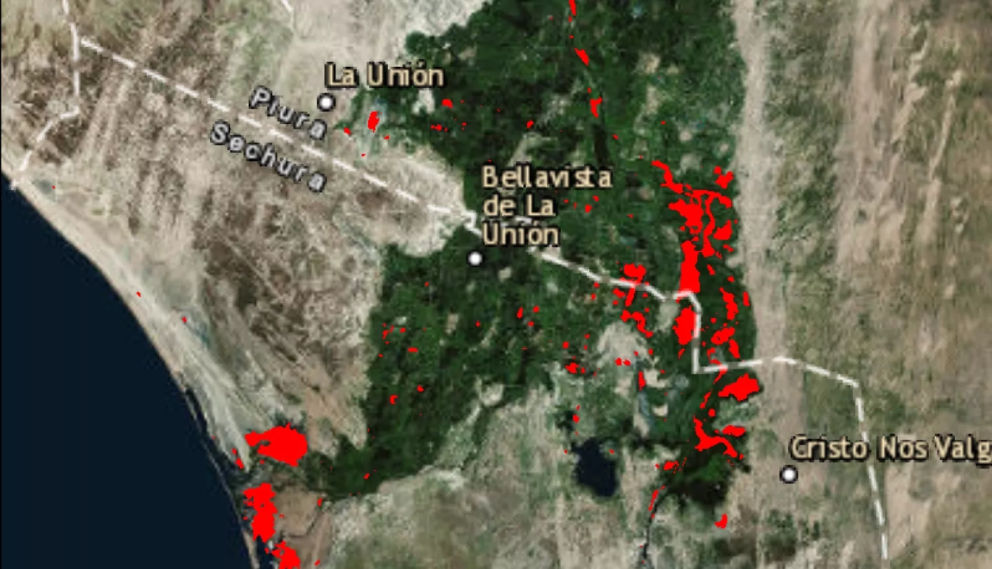 Change detection map that highlights flood waters in Peru using Sentinel-1 data