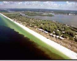 Red Tide in Florida