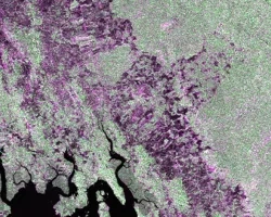 Sar Landcover Header