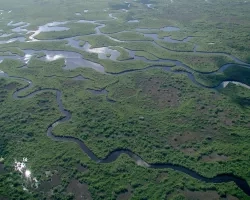 Everglades