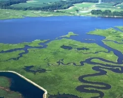 Chesapeake Bay