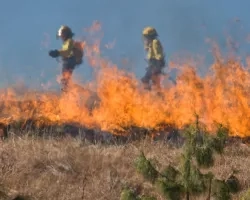 Firefighters in action.