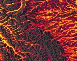 Results of habitat suitability for mustelids in Western Montana, derived from mean PRISM temperature and precipitation (2010-2020), NASA SMAP soil moisture (2015-2020), HydroSHEDS river width and depth, NLCD 2016 Land Use Land Cover, NASA ALOS SRTM elevation, as well as species presence points for mink and otter (2000-2021). Yellow, red and violet areas represent high, medium, and low habitat suitability respectively. Yellow area is prime surveying location for mustelid species.