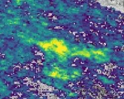 The difference in Aerosol Optical Depth (AOD) between ozone spike days in summer 2018 and 2020 in Seiling, Oklahoma. AOD measures particles distributed within a column of air and can help predict tropospheric ozone spikes and inform regulatory organizations. Data derived from Terra and Aqua MODIS with 2020 Landsat 8 imagery as a base map. Yellow represents the greatest difference in AOD and purple represents the least difference, with green in the middle. Areas with negative values were removed. 