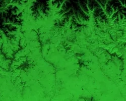 NDVI-processed imagery using Landsat 8 OLI data from June 1 to November 31, 2021. Showing Punakha, Bhutan, vegetative areas are represented by green while black depicts non-vegetative areas. Bhutan is located in the Himalayas with altitude ranging from 550 ft. to 23,000 ft., resulting in vast diversity of both ecosystem and agricultural products. Examining vegetation area help in developing a crop mask and remotely sensed data collection protocol for rice in Bhutan.  