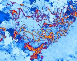 Landsat 8 OLI derived MNDWI imagery mosaicked from October 17, 2020, to December 2, 2020. Located near the Río Patuca (Patuca River) in Ahuas, Honduras, permanent water and flood is represented as bright red and orange while blue depicts other land cover types and clouds. Examining floods from disasters like Hurricanes Eta and Iota helps decision makers improve mitigation and response efforts.