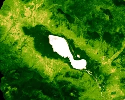 Processed MOD13Q1.006 Terra Vegetation Indices 16-Day Global 250m imagery and calculated 20-year median NDVI for serial 16-day MODIS composites (January 1st, 2000, to December 31st, 2020), reflected for the Tonlé Sap Lake region, within Cambodia SE Asia. High photosynthetic capacity is dark green, low photosynthetic capacity is tan, water detected in NDVI is white. Focusing on low to high vegetation cover, density, and productivity to prioritize resource allocation and increase agricultural sustainability f