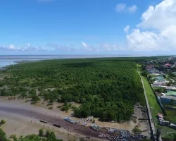 Mangrove forests form a natural seawall protecting neighborhoods of Georgetown, Guyana’s capital city.