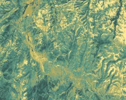  Normalized difference vegetation index (NDVI) generated from an October 5, 2021 Landsat 8 OLI image of Yellowstone National Park. The dark green shades represent areas with healthy vegetation, yellow depicts bare ground, and intermediate shades reflect a gradient of vegetation productivity. Areas with NDVI values that vary throughout the year are indicative of deciduous vegetation and can help resource managers understand changes in aspen stand extent.​