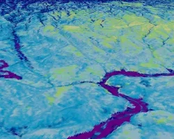 A 3D rendering of Landsat 8 OLI data processed using a Normalized Difference Moisture Index (NDMI). This image of the southeast region of Bandelier National Monument was taken on September 10, 2022. The Rio Grande is shown on the right side in dark purple, with upland areas shown in light green. NDMI highlights the areas of high moisture content, around which vegetation is more prevalent, as seen in indigo.