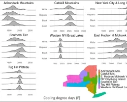 Kernel density distributions of census tract-level cooling degree days from May through September 2013 in Fahrenheit by race/ethnicity across the climate regions of New York State. Cooling degree days are calculated with a threshold of 65°. White = Non-Hispanic White, Hispanic = Hispanic/Latino of any race, Black = Non-Hispanic Black, Asian = Non-Hispanic Asian. 