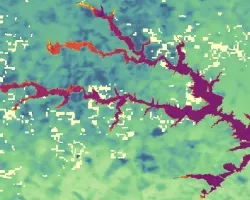 Lake Anna NDCI calculated using Sentinel-2 MSI images overlaying surface temperature imagery processed from Landsat 8 OLI data from May to September of 2021. Surface temperature is represented by shades of blue and green. Within the body of the lake, chlorophyll concentrations are represented on a gradient scale from purple to yellow, with yellow indicating highest concentrations. Higher temperatures can increase chlorophyll concentrations and are therefore of interest for Harmful Algal Blooms in Lake Anna.