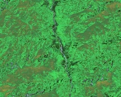 NDVI processed imagery from Landsat 9 Collection 2 Tier 1 TOA Reflectance for the whole year of 2022. The composite image shows the vegetation landscape of western Bhutan, focused on the districts of Punakha, Paro, and Wandgue Phodrang. The band combinations highlight forest cover in green, paddy fields in light brown, waterbodies in gray, and barren lands and settlements in black.