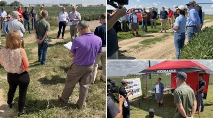 three photos of groups of people outside in a field talking