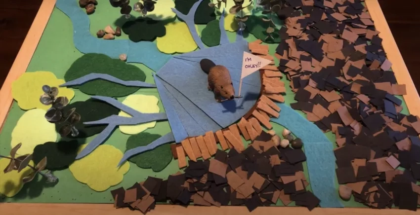 photo of felt beaver on felt landscape