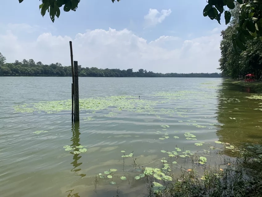 Photo of a gauge in a lake