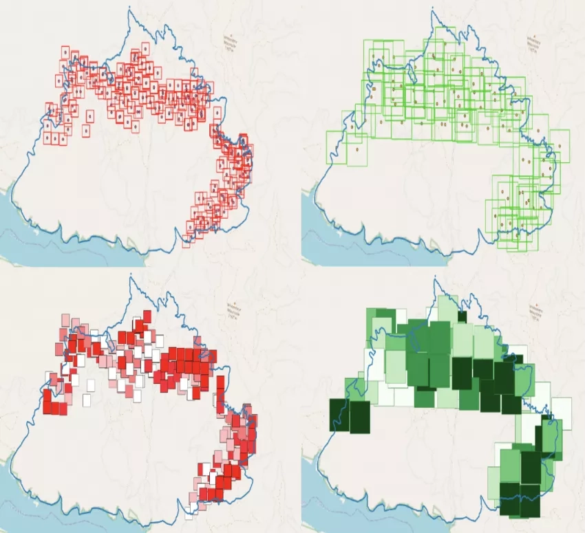 four images showing VIIRS and MODIS data in red and green