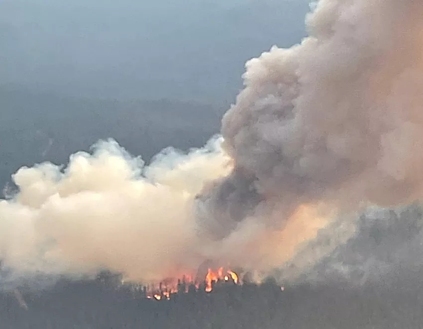 photo of smoke and trees on fire, taken from an airplane